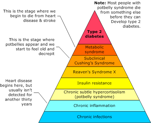 pdf antioxidants in food vitamins and supplements prevention and treatment of disease